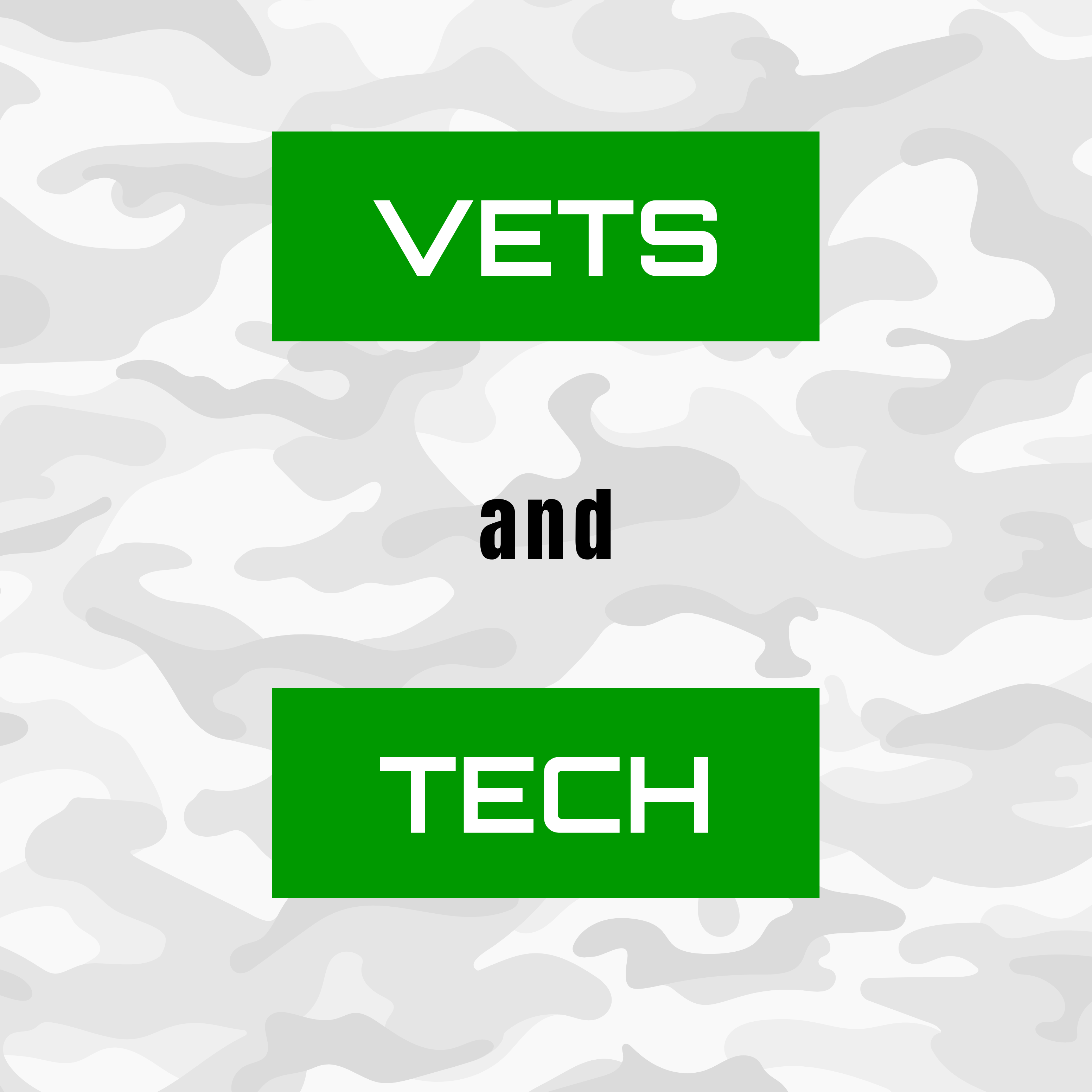 VETS AND TECH